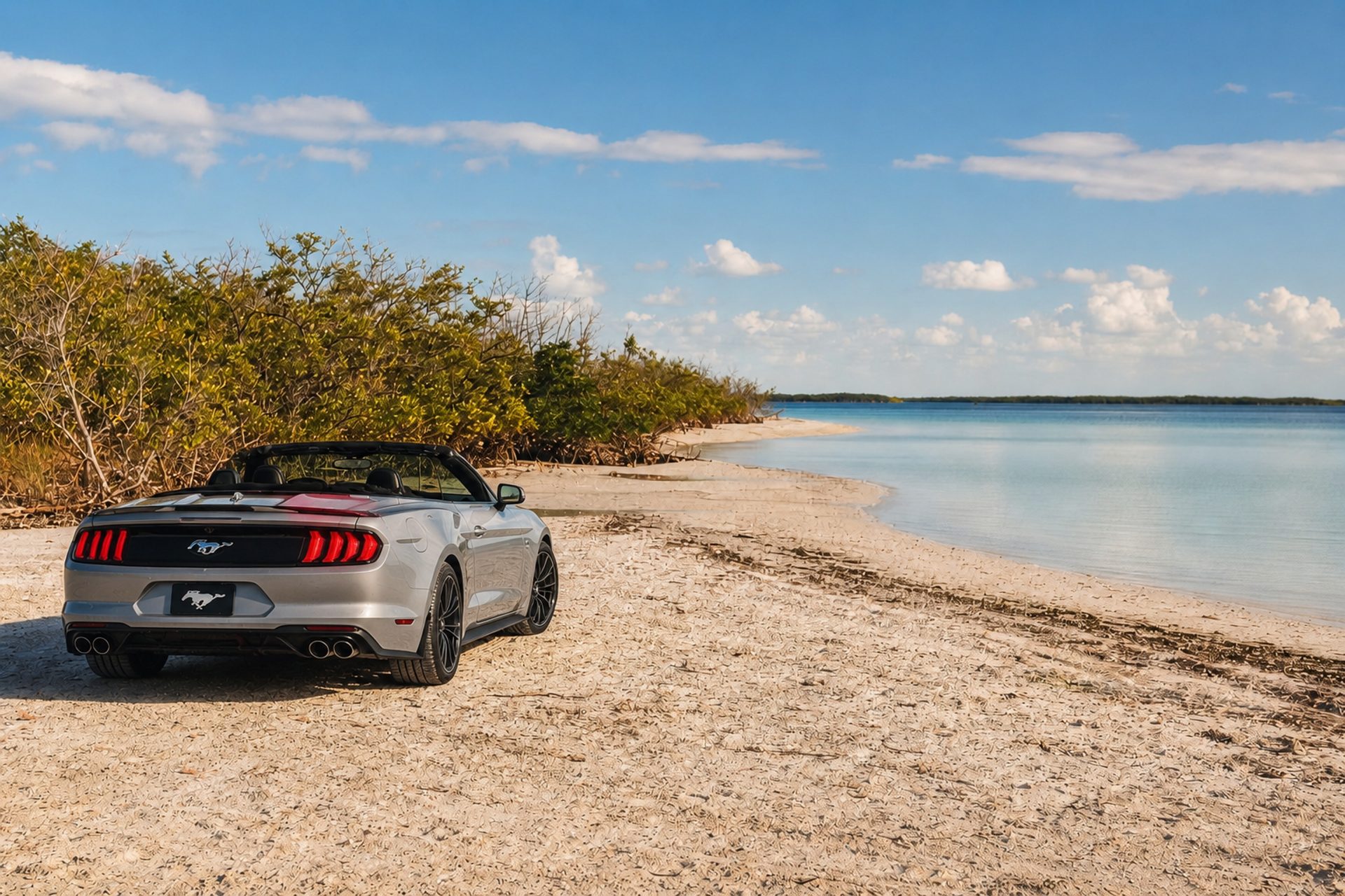 Fort De Soto Park: A Praia Mais Premiada
