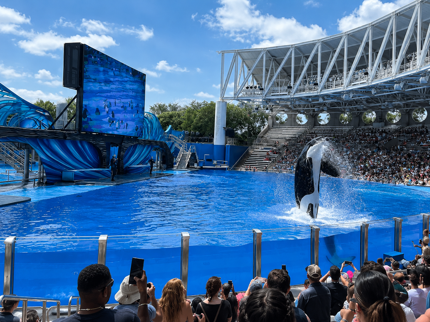 Show de golfinhos no SeaWorld
